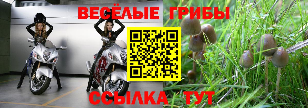 Галлюциногенные грибы Psilocybe  Псилоцибиновые грибы мухоморы  Вход с VPN  Волхов 