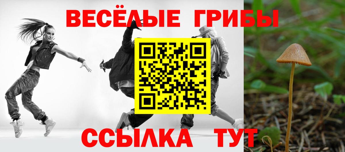 Псилоцибиновые грибы ЛСД Волхов